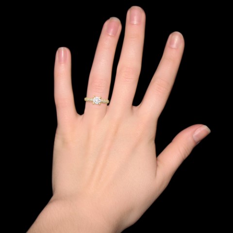 https://goldiam.co.il/sites/default/files/T5356_hand_left3%20%28%D7%A7%D7%98%D7%9F%29.jpg